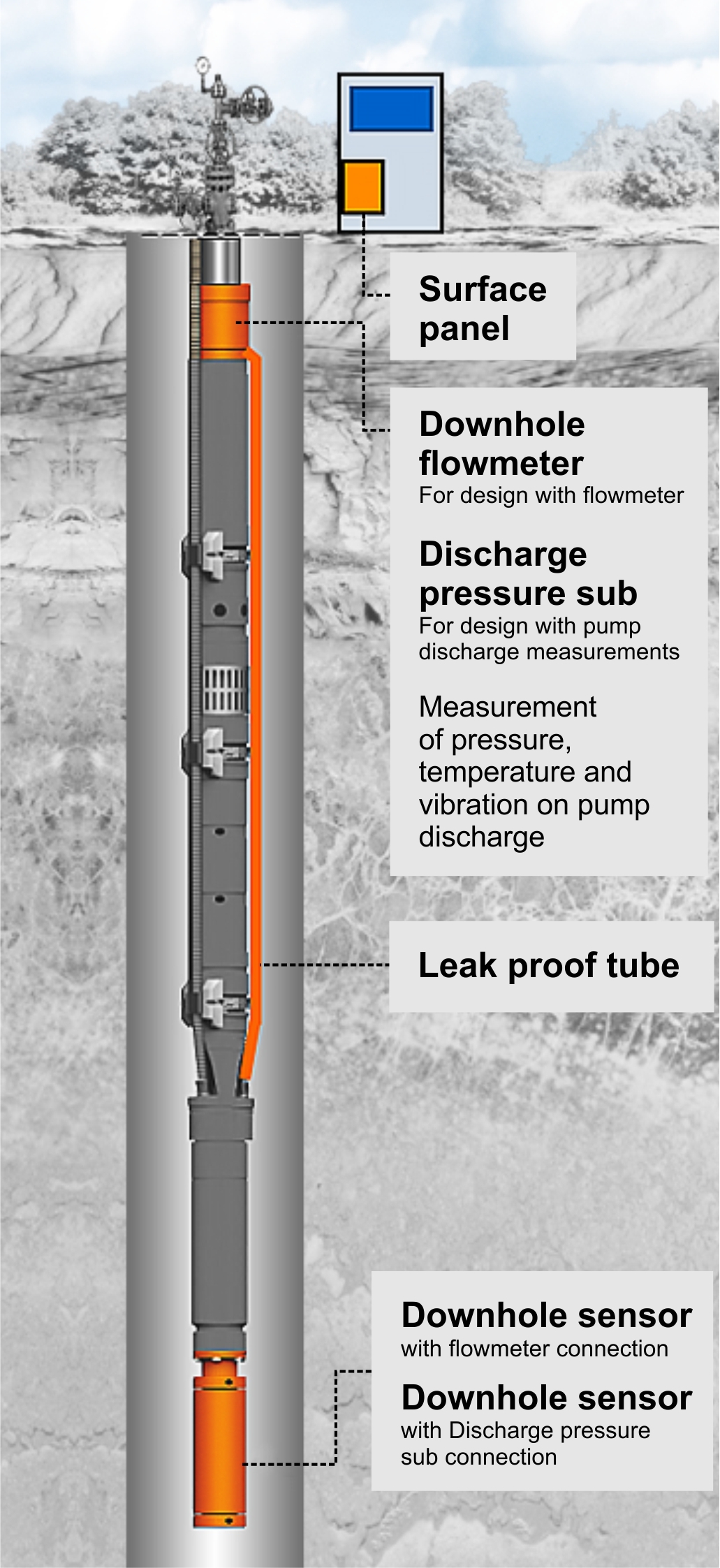 Diagram showing extended ESP sensor configuration including flow meter